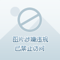 995的个人资料头像