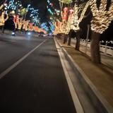 自由海阔天空头像