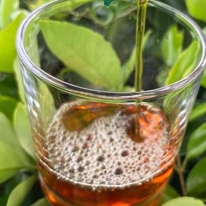 与星行走《贵州大山17年》