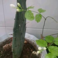 分秒必争追风头像