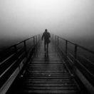 临渊而立的个人资料头像