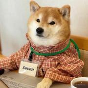 李二狗不开车的个人资料头像