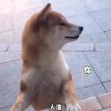 聪明小可乐头像