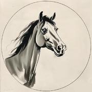 旷野说的个人资料头像