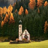 屁股天天被蚊子咬头像