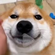 贝极星7107的个人资料头像