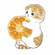 litty就是我的个人资料头像