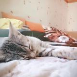 用户838968589965头像