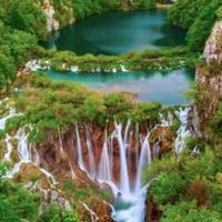 用户杨士旺头像