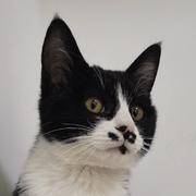 777_EatBadc的个人资料头像