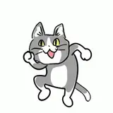 qiaoxingxing的个人资料头像