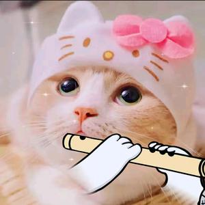 洛夕追剧头像