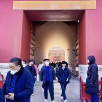 居蕾1头像