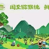 兴周奇果头像