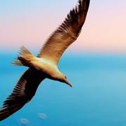 风轻云淡955的个人资料头像