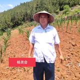 杨灵会头像