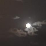 又宝又又宝头像