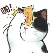 heci的个人资料头像