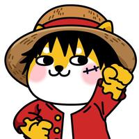 用户7743613273720头像