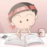 索隆爱罗宾头像