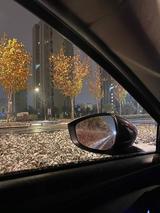 成天823头像