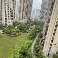 白猫带墨镜头像