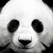 wkan37402的个人资料头像