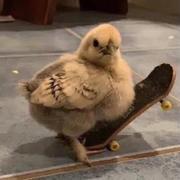 用户7062716141152的个人资料头像