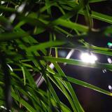 神秘明镜tN头像