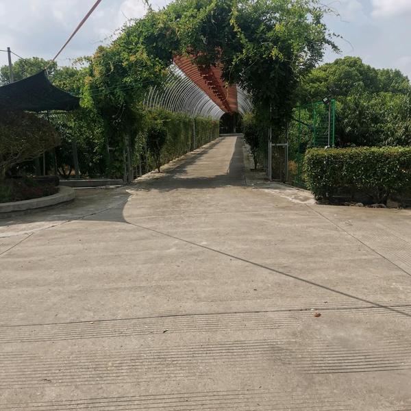 羞花闭月5D0T头像