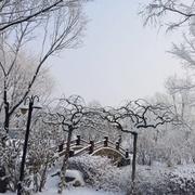 一念之间328的个人资料头像