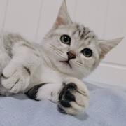 0_0385的个人资料头像