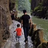 枫叶9941301216135头像