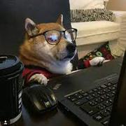 刘大志的个人资料头像