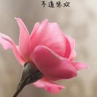 昌乐广潍于爽头像