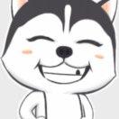 信君69533的个人资料头像