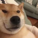 今天有想你呢头像