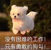 不将就的个人资料头像