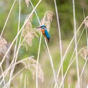 昨叶何的个人资料头像