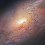 一杺的个人资料头像