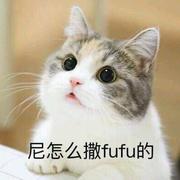 JUUCEJUUCE的个人资料头像