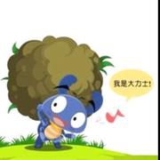 屎壳郎的球的个人资料头像