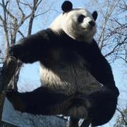 陈皮426的个人资料头像