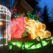 高高68的个人资料头像