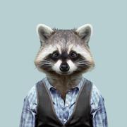 布鲁兹老爷的个人资料头像