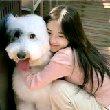 西郊最大的二房东头像