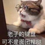 巫巫巫猫头像