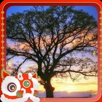 小晨说升学头像