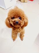 Anyway的个人资料头像