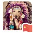 谢陈义的个人资料头像